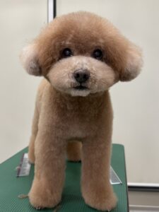 田んぼくんのトリミング写真