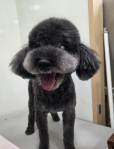 ぜうすくんのトリミング写真