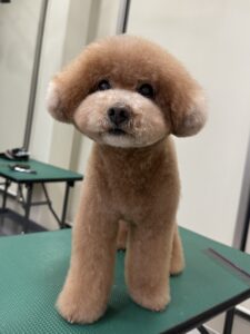 田んぼくんのトリミング写真
