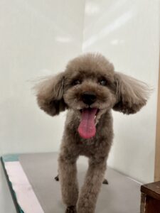 ルエルくんのトリミング写真