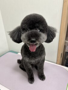 ぜうすくんのトリミング写真