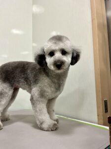 奏音(かのん)ちゃんのトリミング写真