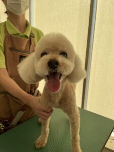 ラックくんのトリミング写真