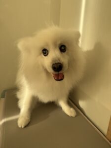 優(ゆう)ちゃんのトリミング写真