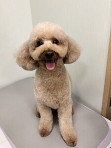 空太(くうた)くんのトリミング写真