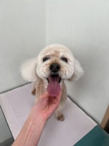 ラックくんのトリミング写真