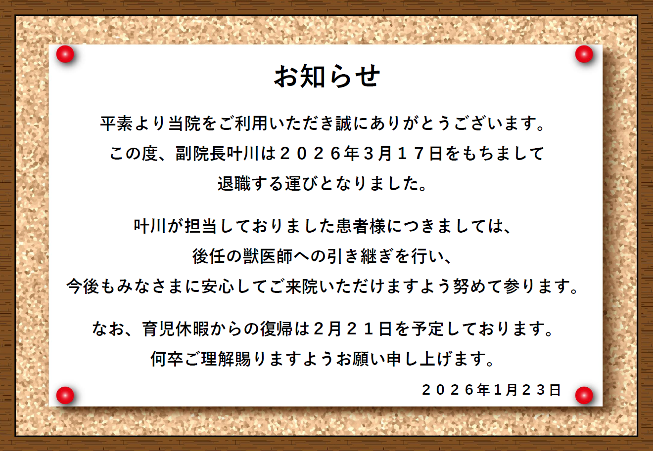 獣医師 退職のお知らせの画像