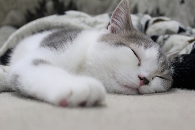 寒い季節の低温ヤケドに気をつけましょう！の画像