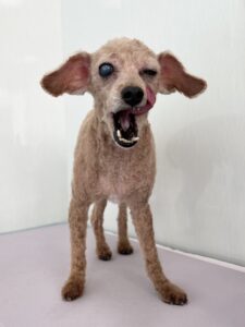 １月９日のわんこたちの写真