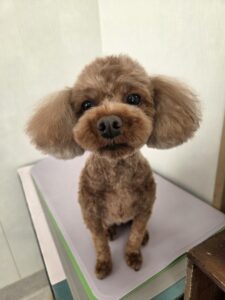 メイちゃんのトリミング写真