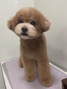 田んぼくんのトリミング写真