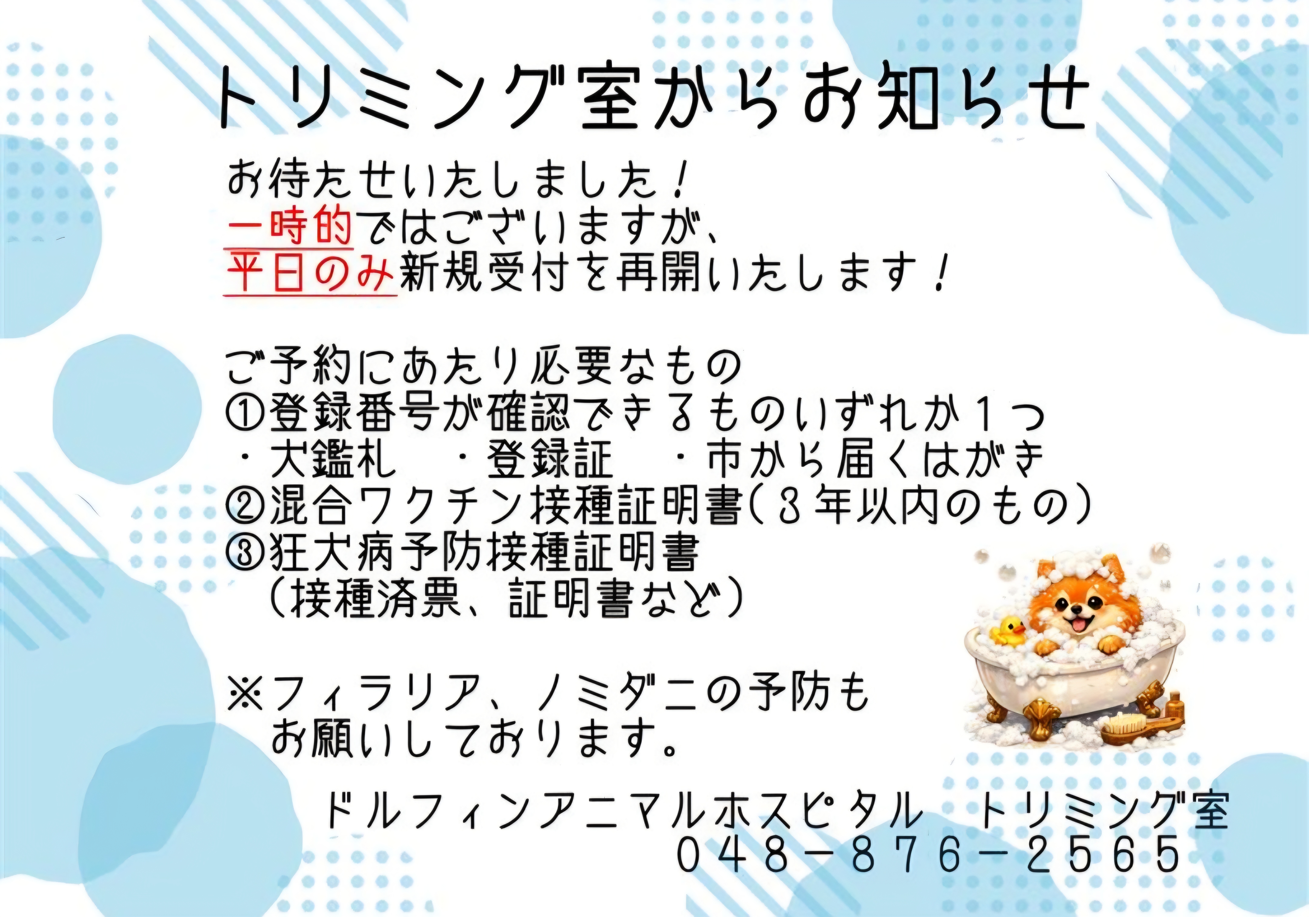 トリミング室からのお知らせ（新規受付について）の画像