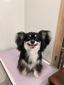 レナちゃんのトリミング写真