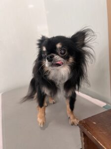 アースくんのトリミング写真