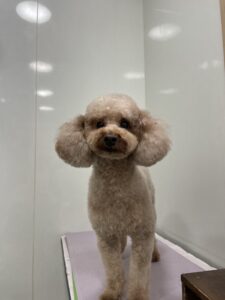 空太(くうた)くんのトリミング写真